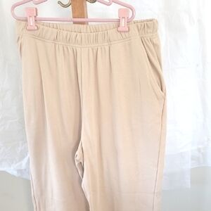 Woman Within Knit Pants